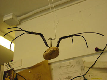 Bat Armature